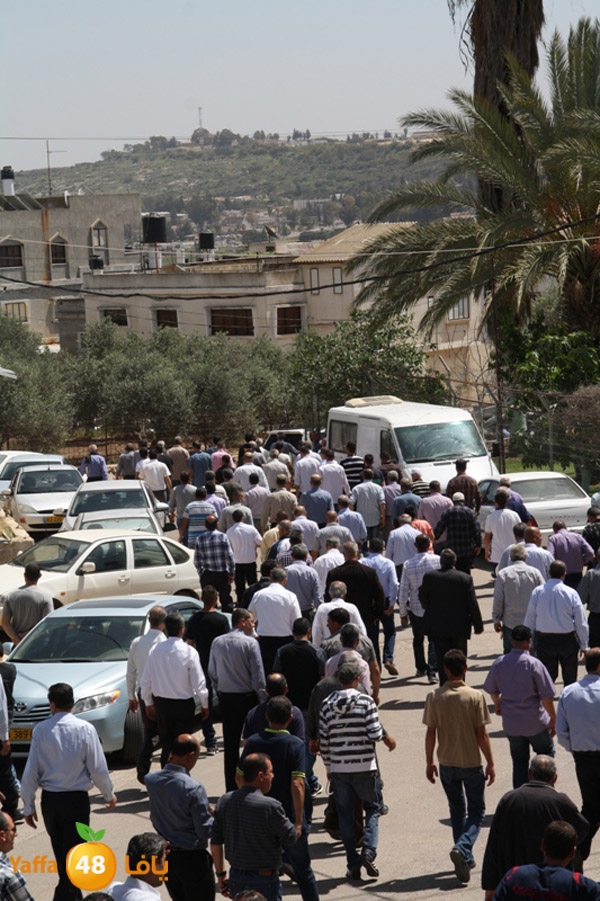 tashye3 04007 (14).JPG